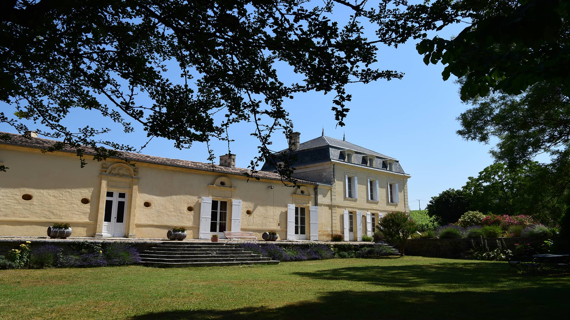 Château Richelieu – vignoble de Fronsac